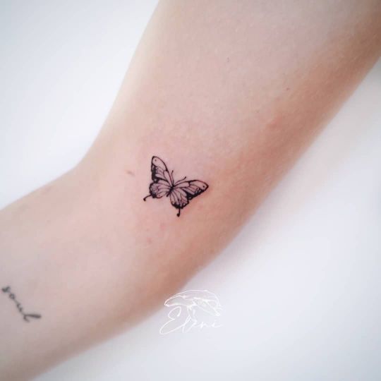 fine line butterfly tattoo