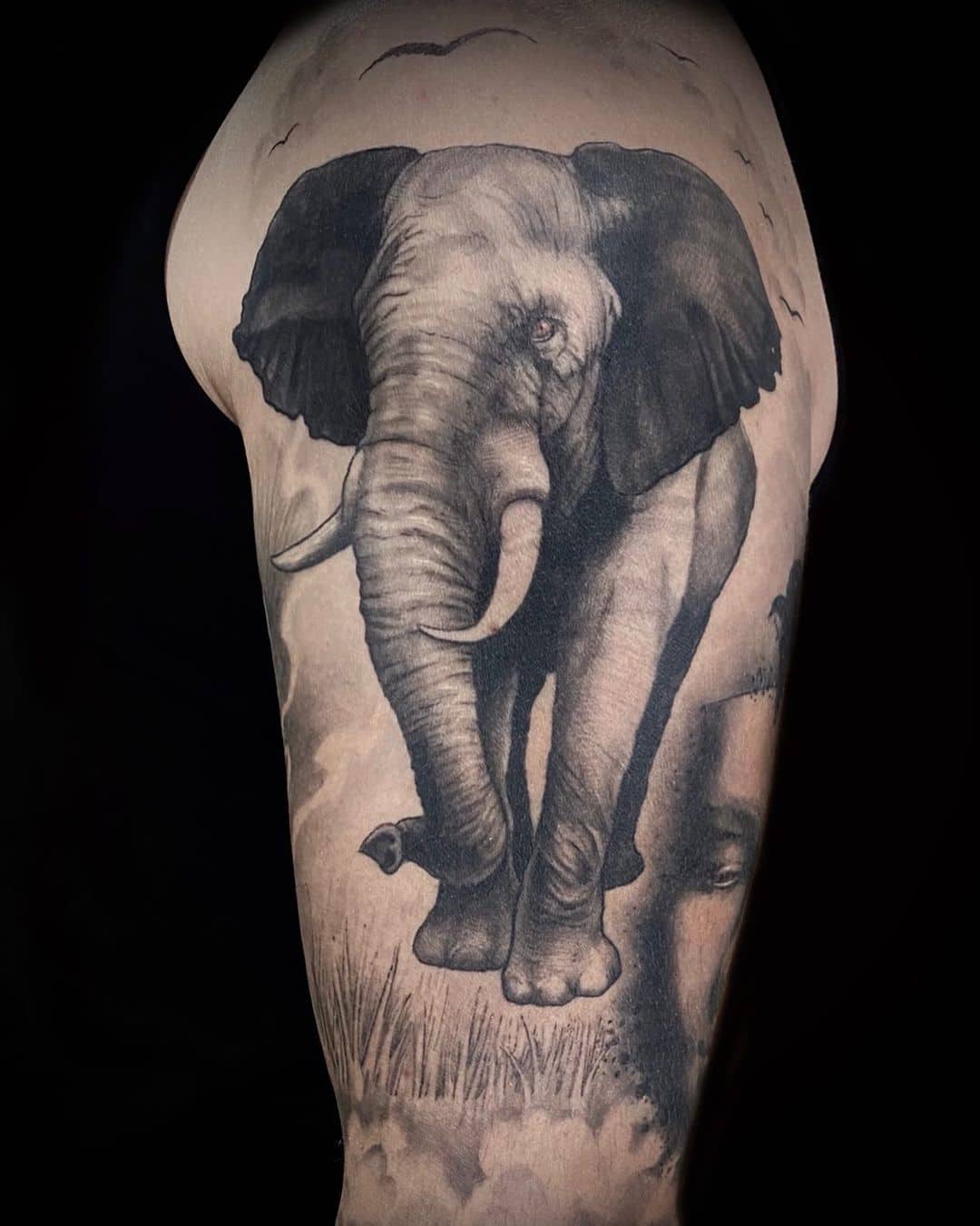 Black and grey realisme tattoo op de bovenarm van een olifant