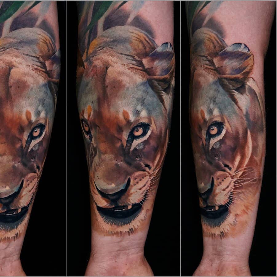 Leeuwin tattoo in kleur realisme op de onderarm. Gezet bij Inksane tattoo en piercing.