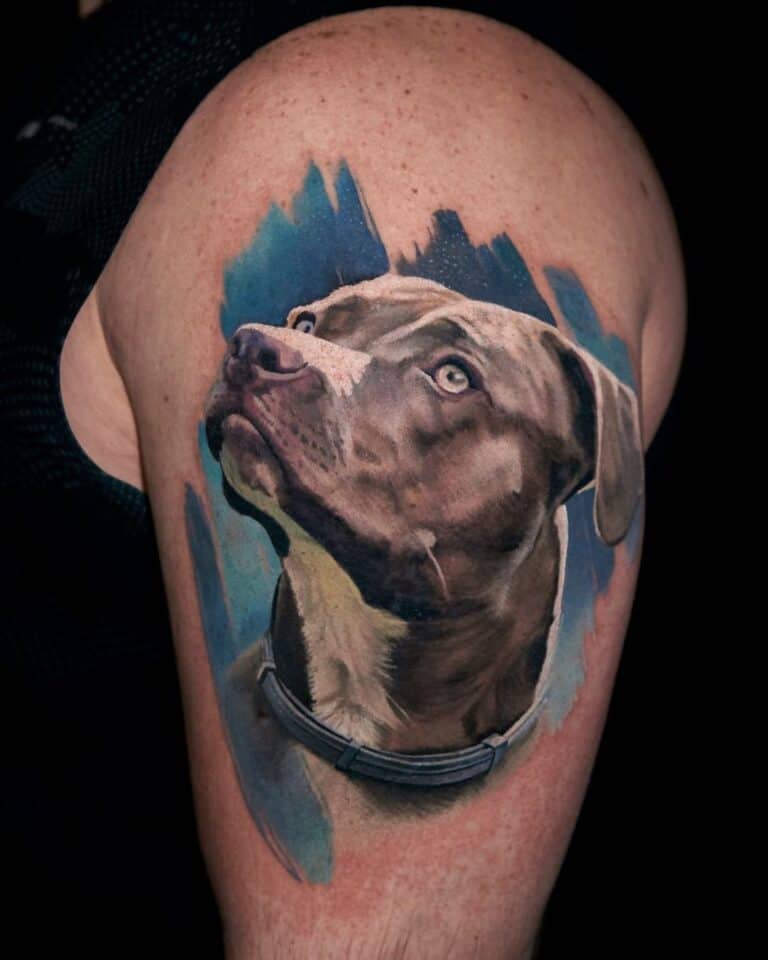 Hondenportret in kleur realisme op een bovenarm. Gezet bij Inksane tattoo en piercing.