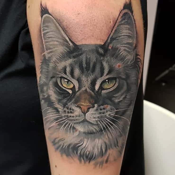 Portret van een kat in kleur realisme, tattoo op bovenarm. Gezet bij Inksane tattoo en piercing