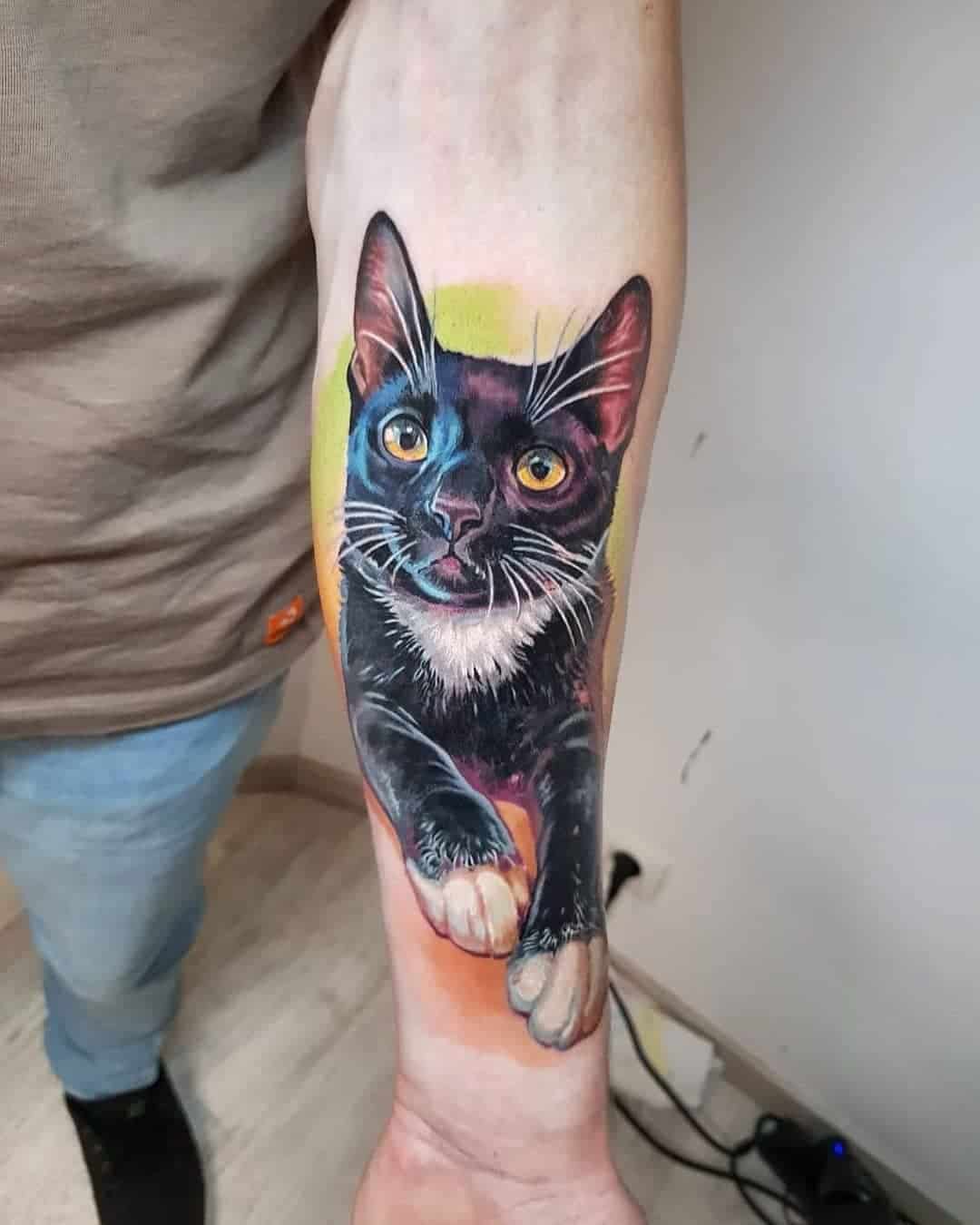 tattoo van kat in kleur realisme, geplaatst op een onderarm bij Inksane tattoo en piercing
