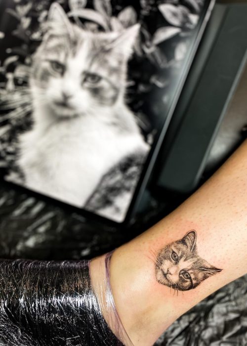 Microrealism small cat tattoo