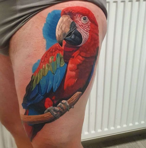 papegaai rood kleurrealisme tattoo bovenbeen Alex Juk